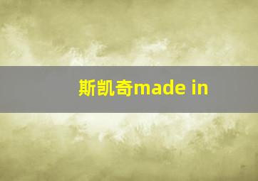 斯凯奇made in